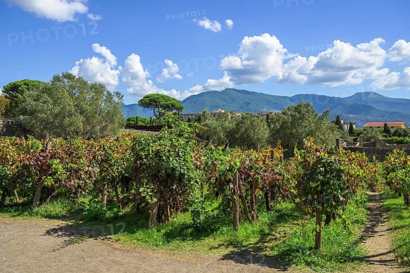 Pompeii, Campania, Naples, Italy