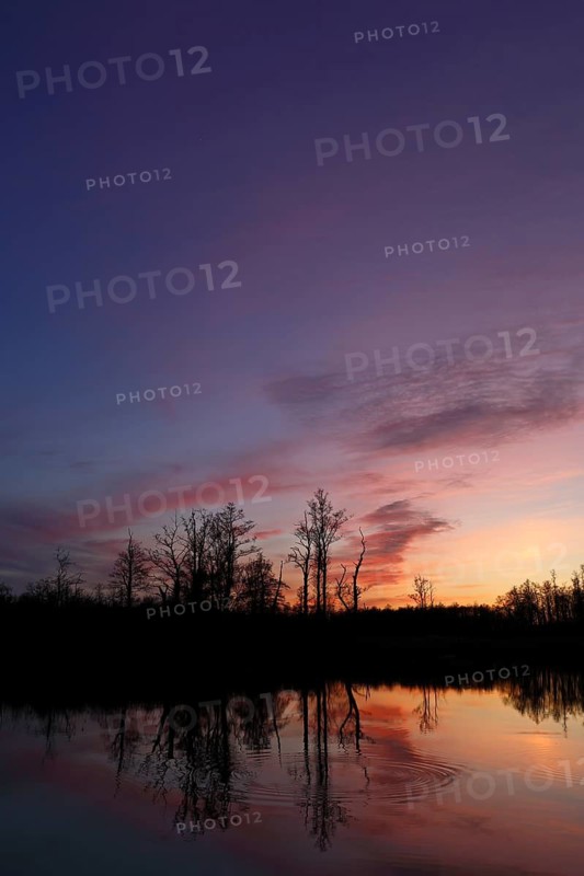 Evening mood with sunset on the river Trebel, Flusslandschaft Peenetal nature park Park, Mecklenburg-Western Pomerania, Germany
