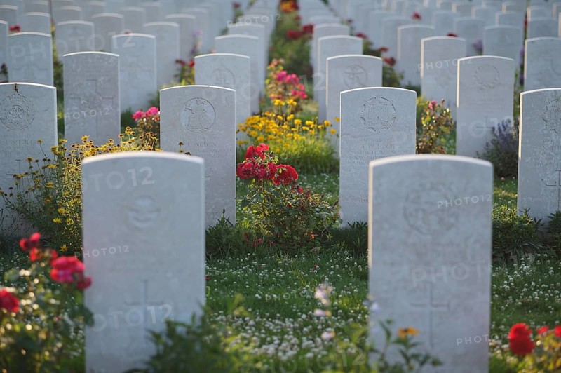 Gravestones, war graves, soldiers' graves, flowers, roses, British and German military cemetery, Cimetière militaire britannique, D-Day, Operation Overlord, Bayeux, Normandy, Calvados, France