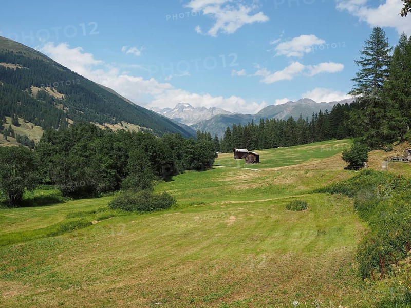 A gently rolling valley with meadows and a barn, surrounded by wooded mountains, Rottenweg, Goms, Canton of Valais, Switzerland
