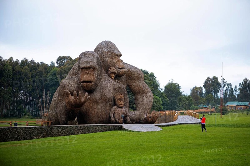 Gorilla artwork on the way to Parc National des Volcans, Volcanoes National Park, Rwanda