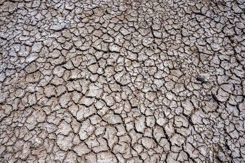 Dried riverbed, brittle floes, extreme low water, Rhine level at 41 cm, downward trend, freighters must sail with reduced load, after the long drought, the left bank of the Rhine falls dry near Düsseldorf Oberkassel, North Rhine-Westphalia, Germany