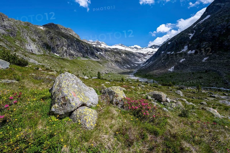 Picturesque mountain landscape, behind mountain peak with snow and glacier Hornkees, valley with Hornkeesbach, Berliner Höhenweg, Zillertal Alps, Tyrol, Austria