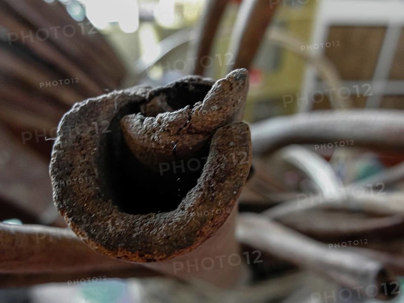 Species closer to cinnamon stick, selective focus, texture, Close-up image of a piece of dried wood with visible texture, exhibiting earthy tones and a natural, rustic atmosphere