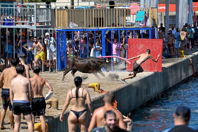 Bous a la Mar Fair, in English Bulls in the Sea, Bullfighting, Javea or Xàbia, Alicante Province, Comunidad Valenciana, Spain