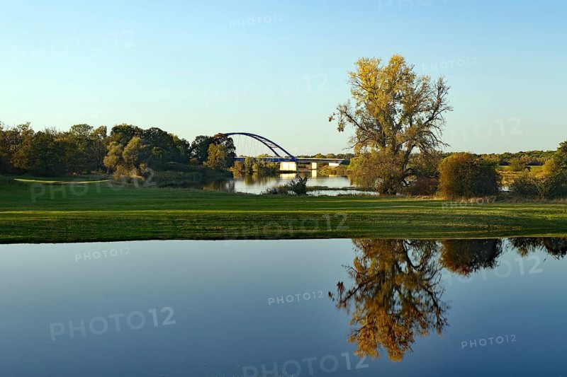 Calm lake with reflections of trees and a bridge behind it under a blue sky, flooded Elbe meadows, Elbe, Bridge of Unity Langendorf, Wendland, Lower Saxony, Germany