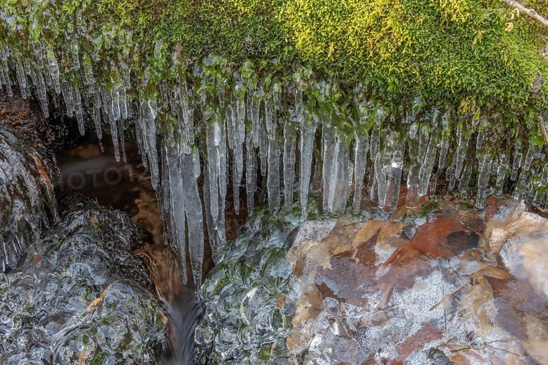 Branches are covered with ice near the river. The water flows gently and forms ice formations on the land and between the rocks. Upper Rhine, Vosges, Alsace, France