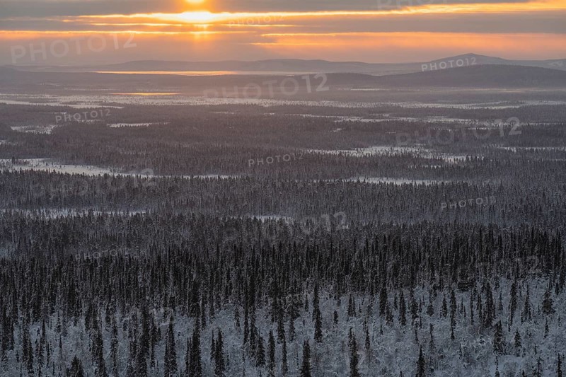 Sunshine over winter landscape, Muddus National Park, Laponia World Heritage Site, Norrbotten, Lapland, Sweden, January 2023