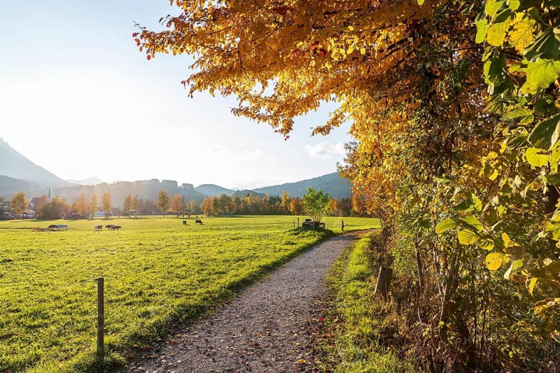 Sunny autumn weather in the Rote Traun valley, surrounded by the Chiemgau Alps, Inzell, Bavaria, Germany