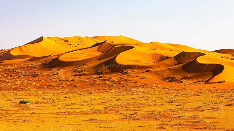 Wind-sculpted curved sand dunes in the Rub al Khali desert, Dhofar province, Arabian Peninsula, Sultanate of Oman