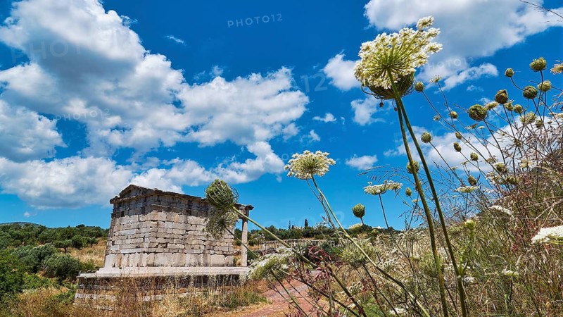 Saithidai Family Tomb Monument, Ancient Stone Building Surrounded by Wild Flowers Under Cloudy Sky, Ancient Site, Archaeological Site, Messene, Messini, Messinia, Southwest of the Peloponnese, Odyssey, Odyssey, Odysseus, Ulysses, Movie, Filming Location, Matt Damon, Peloponnese, Peninsula, Greece