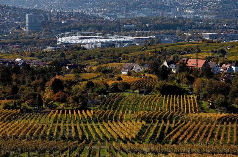 View of MHPArena, MHP Arena, Gaskessel, Stuttgart, over vineyard, vines, grapevines, viticulture, autumn colouring, autumn, Kappelberg, Fellbach, Waiblingen, Baden-Württemberg, Germany