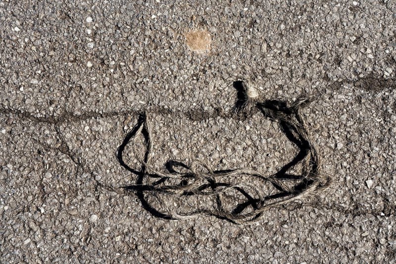 Twine on asphalt, fantasy landscape