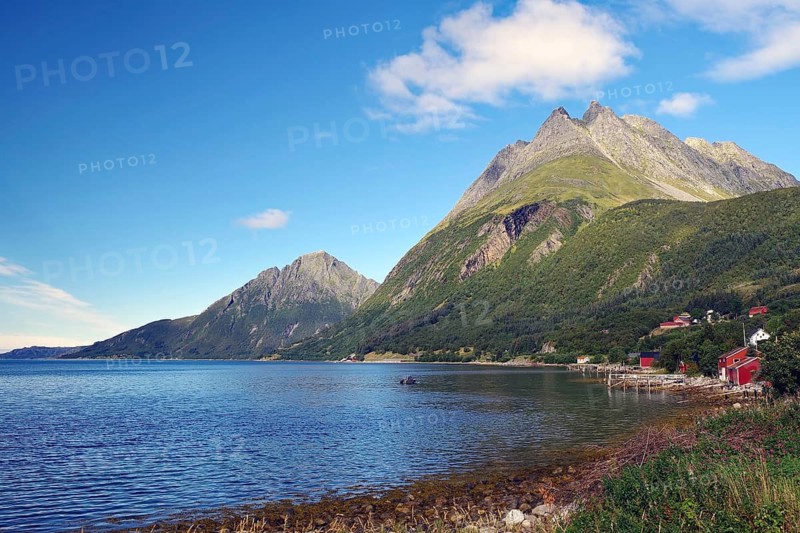 Wooden houses, small fishing boats and steep mountains reflected in the water of a harbour, Aldersund, FV 17, Kystriksveien, Nordland, Norway