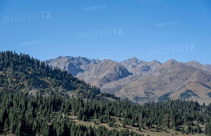Mountain peaks and forest, mountain landscape, Tian Shan Mountains, Issyk-Kul, Kyrgyzstan