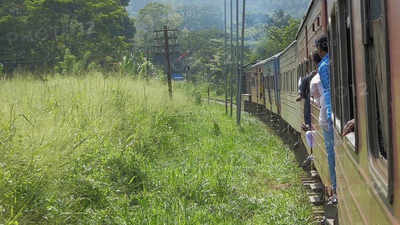 Train travels through green countryside, passengers enjoy views from open doors, railroad romance in the highlands of Sri Lanka