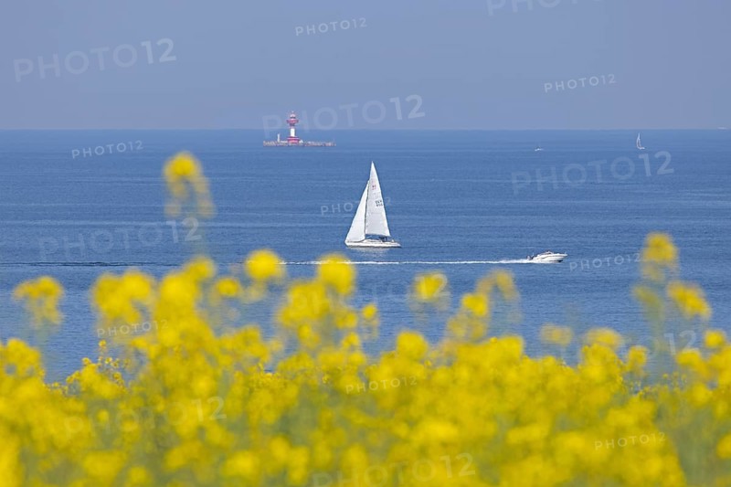 Sailboat, boats, rapeseed field, Baltic Sea, lighthouse Kiel pilot station, Altbülk, beaches, Schleswig-Holstein, Germany