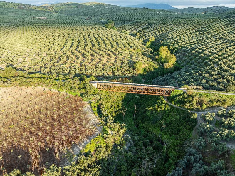 Cycle path Via Verde Del Aceite, cycle path on an old railroad line leading over a bridge, olive fields, near village Cabra, aerial view, Andalusia, Spain
