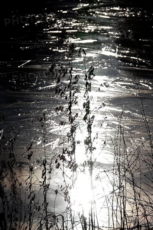 Ice, Winter, Germany