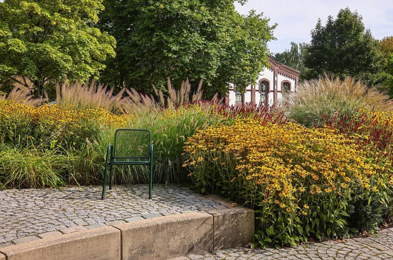 Hamm, North Rhine-Westphalia, Germany - Flowers bloom in the perennial garden in Maximilianpark. Maximilianpark in the Westphalian town of Hamm is a leisure park that was built on the site of the disused Maximilian colliery for the 1984 State Garden Show