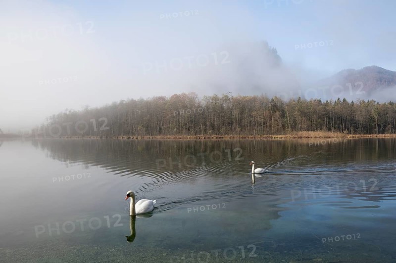 Lake Almsee in autumn with the mountain Ameisstein behind. The fog is lifting