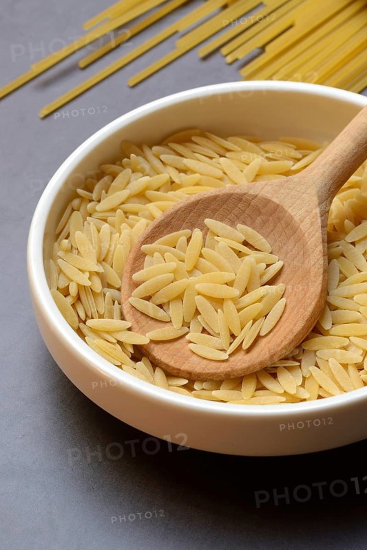 Semi di Orzo, Italian pasta in the form of barley grains, and spaghetti, pasta from Italy