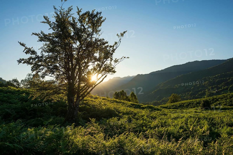 Mountain landscape, Lescun, Département Pyrénées-Atlantiques, Region Nouvelle-Aquitaine, Pyrenees, France