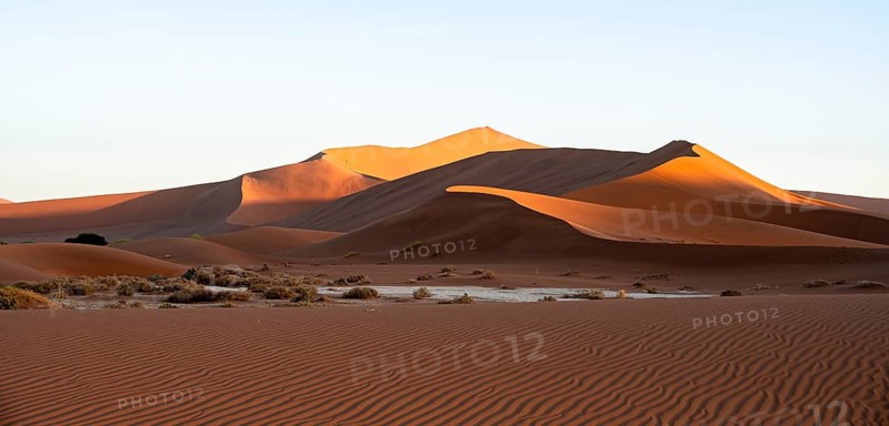 Red sand dunes of the Namib Desert, Sossusvlei region, Namib-Naukluft Park, Namibia