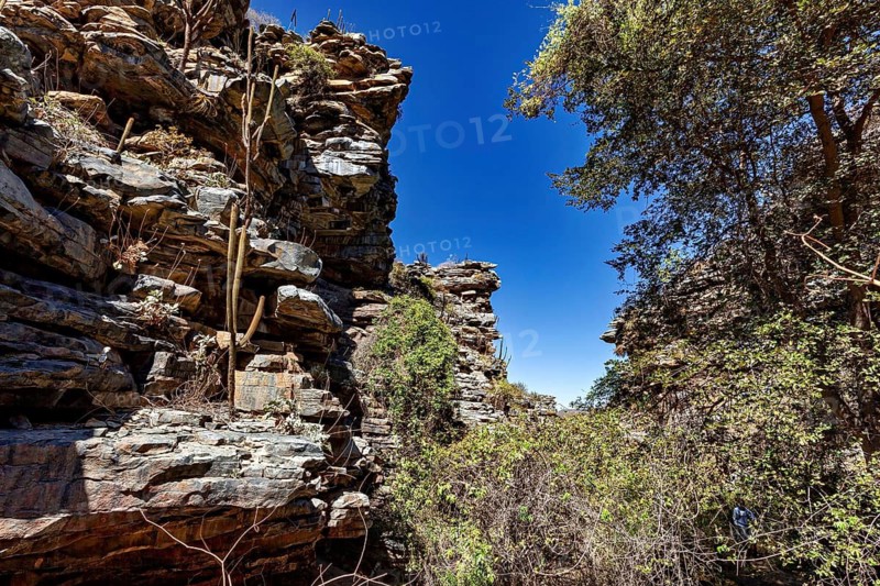 Rocks and vegetation in a narrow gorge under clear blue sky, the thornshrub savanna in the Caatinga countryside in the federal states of Pernambuco and Bahia in Brazil