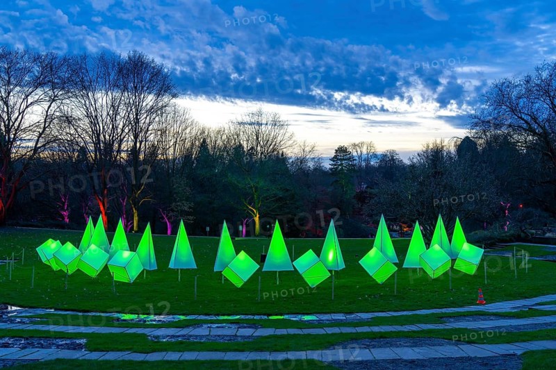 Parkleuchten, event in winter, in the Grugapark in Essen, many different light installations, across the park, attract many thousands of visitors, North Rhine-Westphalia, Germany