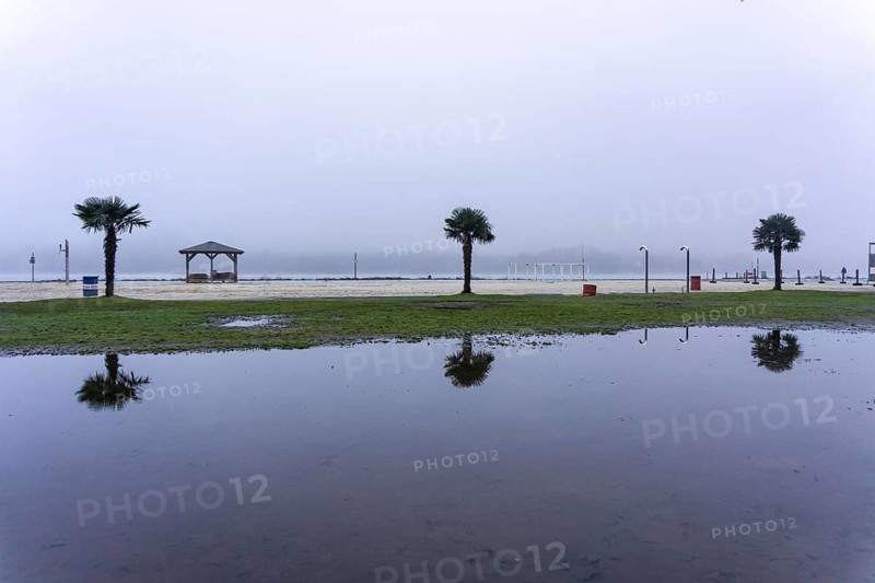 The Seaside Beach, at the Lake Baldeney in Essen, dull, very foggy January day, palm trees are reflected in a large puddle of rainwater, the lake visually sinks into the foggy weather North Rhine-Westphalia, Germany