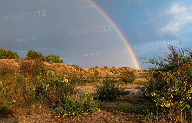 2023, Brandenburg, Germany, Mainzer Land, Nabu, Nabu Project, national natural heritage, Grünhaus natural paradise, post-mining landscape, Grünhaus, rainbow, rainbow