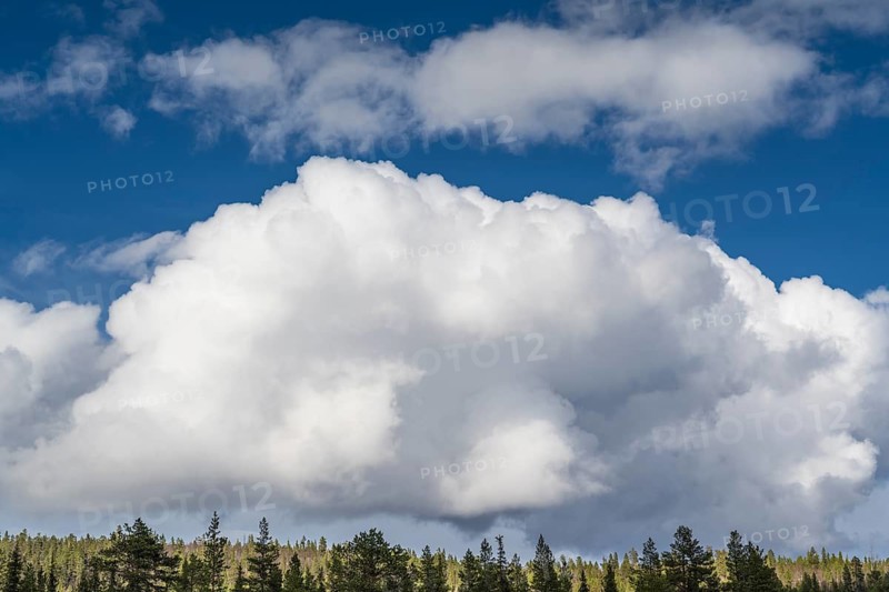 Cumulus clouds over forest area, Lapland, Sweden, May 2024