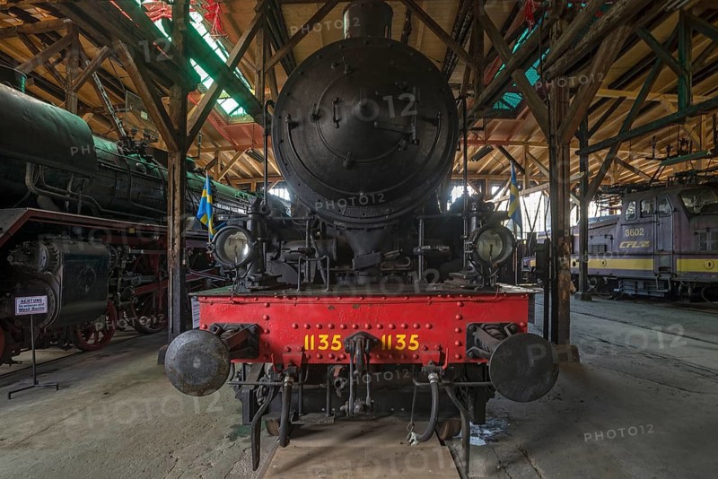 Swedish locomotive, class 1135, built 1960, Rundhaus Europa im Bahnpark, Augsburg, Swabia, Bavaria, Germany
