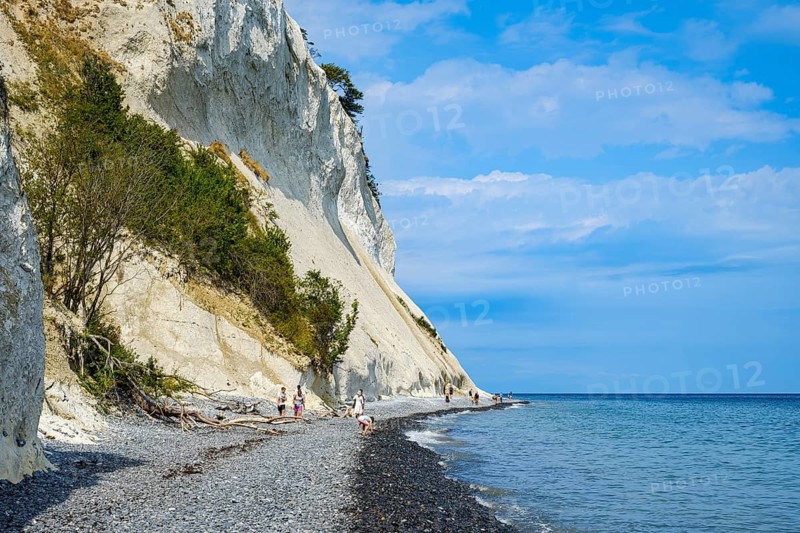 Möns Klint, the chalk cliffs of Mön, Mön Island, Denmark, Scandinavia