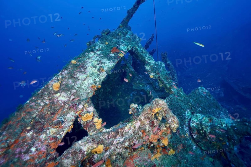 An overgrown shipwreck with colorful marine life and rust can be seen in the sea, dive site Wreck Michel C, Hyères, Giens Peninsula, Mediterranean, Provence Alpes Côte d'Azur, France