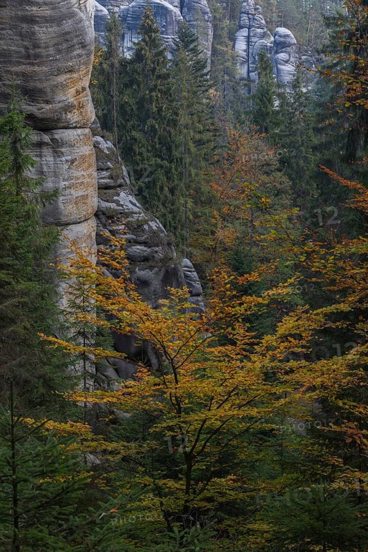Autumnal forest at Adršpach-Teplice Rocks on a sunny day in autumn, Dolní Adršpach, 549 57 Adersbach, CZ