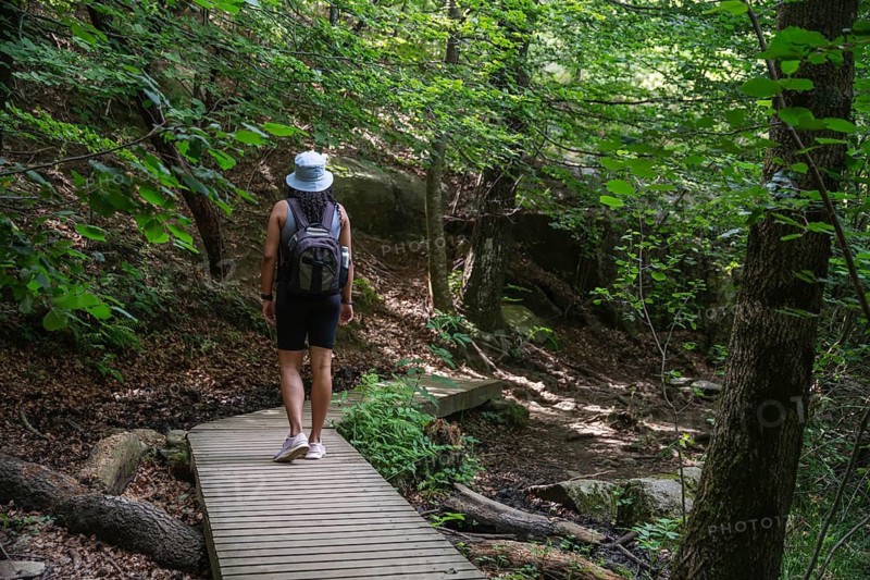 A woman with a backpack strolls along a wooden path in a lush green forest. The tranquil setting and dappled sunlight create a serene atmosphere, perfect for nature lovers