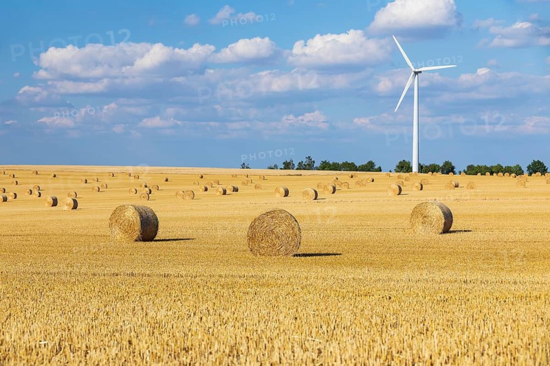 Straw bales on a harvested grain field, stubble field, in the background a wind turbine, Nossen, Saxony, Germany