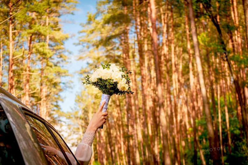 Bride hold white wedding bouquet out of cars window with scenic pine trees forest background, Wedding celebration outdoors in nature. Lithuania