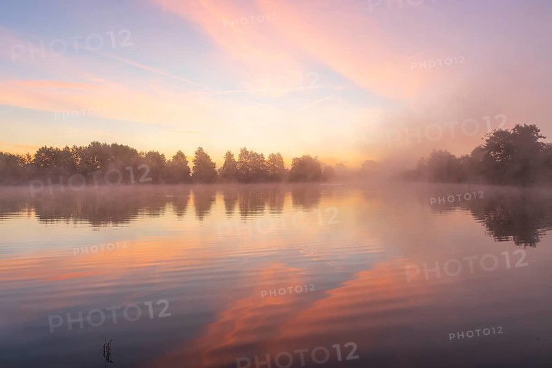 Morning fog at the Grutschenteich in the Nassau, Weinböhla, Saxony, Germany