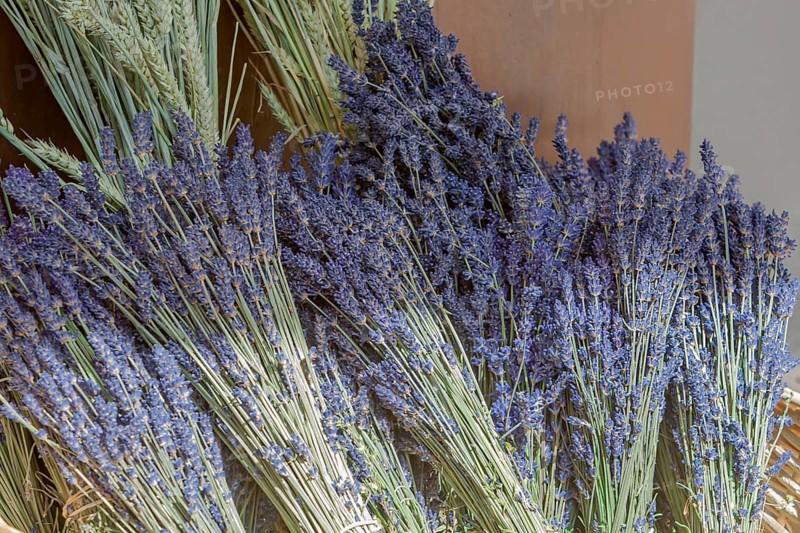 Dried Lavender Basket, Market Sale, Sault, Provence, France