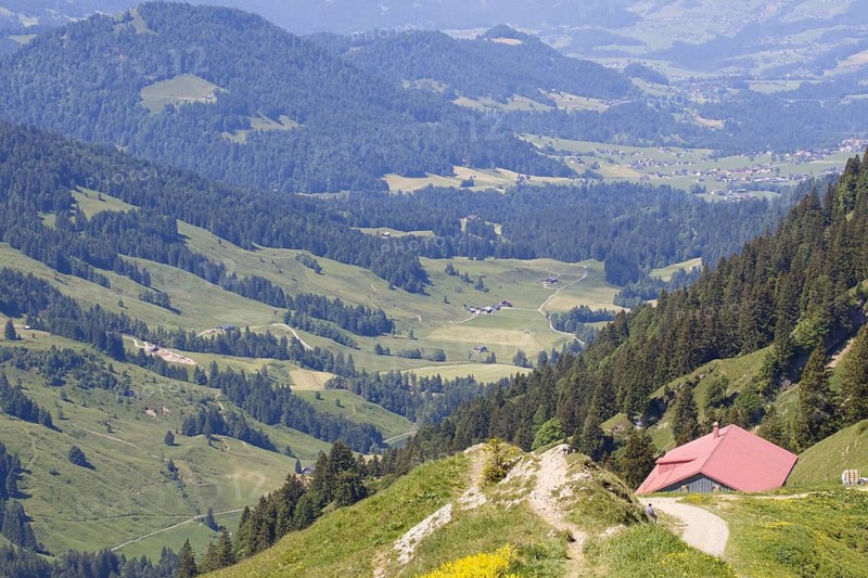 View of a valley with scattered huts, surrounded by green meadows and forests, Oberstaufen, Bavaria, Germany