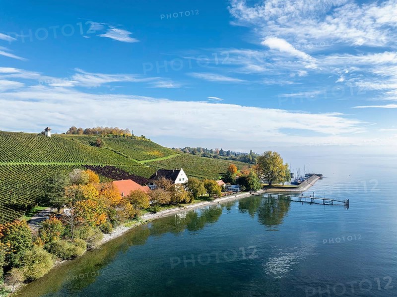 Aerial view of the marina and jetty at the historic Rebgut Haltnau with catering business, outdoor catering and event venue, behind it a vineyard with wine tower, Meersburg, Lake Constance, Lake Constance district, Baden-Württemberg, Germany