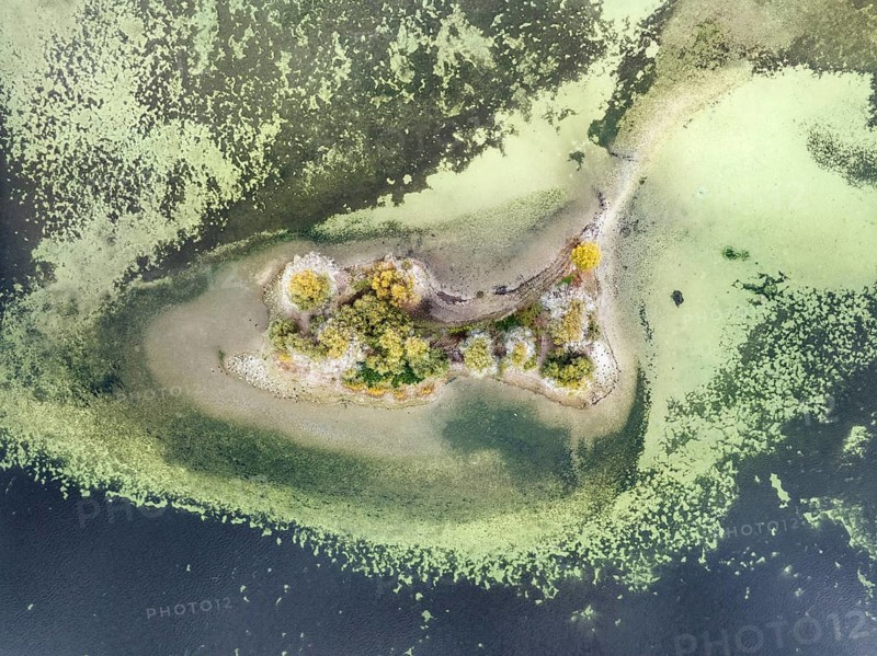 Aerial photograph, top down view of an island in a shallow water zone in Lake Constance, Radolfzell, district of Constance, Baden-Württemberg, Germany