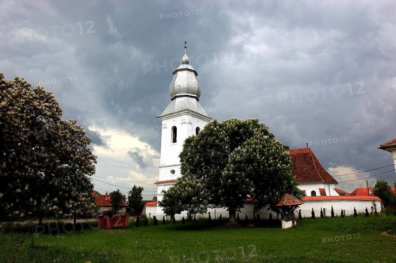 The Reformed Church in Lisznyo, Lisnau, with a blossoming chestnut tree in front, a historic monument in Covasna District, Transylvania, Romania
