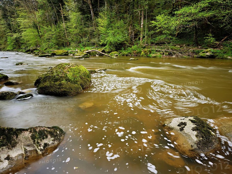 Moss-covered stones on the river Sihl, Sihlsprung, Menzingen, Canton Zug, Switzerland
