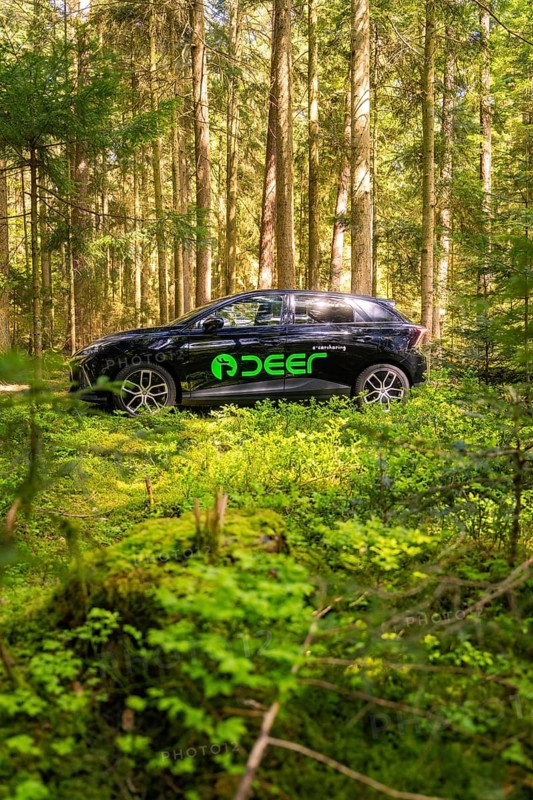 Vehicle with green logo parked in a shady wooded area, Deer E- Carsharing, Calw, Black Forest, Germany
