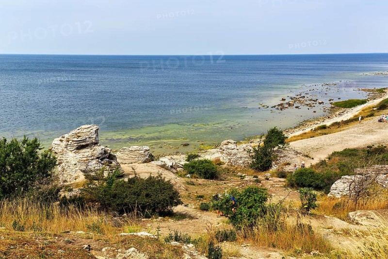 Cliff made of reef limestone, coastline, rock formation, Hoburgsgubben, Hoburgen, south of the island of Gotland, Baltic Sea, Sweden