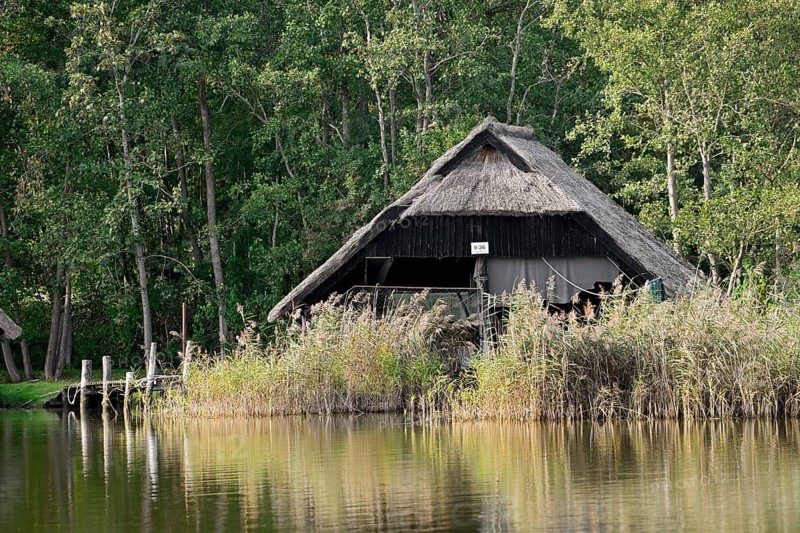 Thatched boathouse at Prerow harbour, Fischland-Darss-Zingst, Mecklenburg-Western Pomerania, Germany